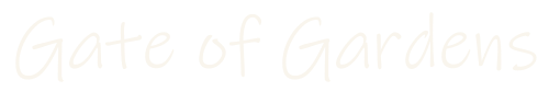 ft-logo